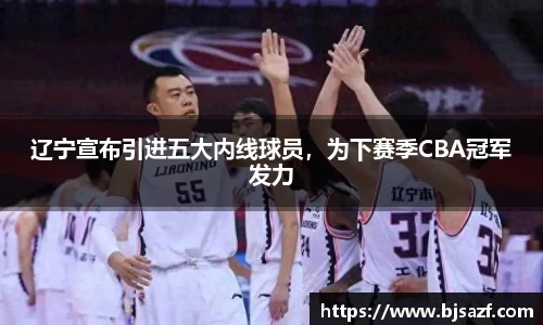 辽宁宣布引进五大内线球员，为下赛季CBA冠军发力