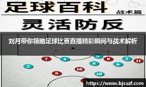 刘月带你领略足球比赛直播精彩瞬间与战术解析